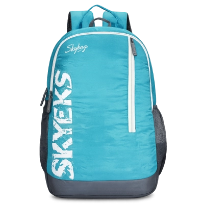 Skybags bags