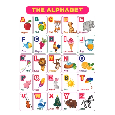 Navneet Educational chart